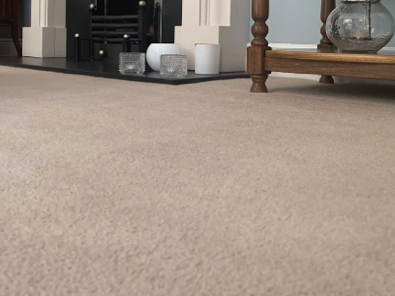 carpet